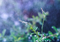 6连败夜炸锅！0分垫底，62岁穆帅怒堵裁判，欧冠神迹能否翻盘