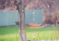 6连败夜炸锅！0分垫底，62岁穆帅怒堵裁判，欧冠神迹能否翻盘