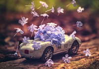 意甲媒体透露：阿莱格里为米兰防守带来了翻天覆地的变化，他的出现让这三位球员迅速成长